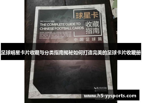 足球明星卡片收藏与分类指南揭秘如何打造完美的足球卡片收藏册