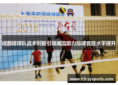 成都排球队战术创新引领潮流助力排球竞技水平提升