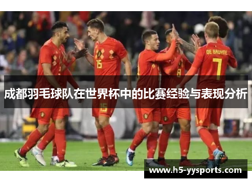 成都羽毛球队在世界杯中的比赛经验与表现分析